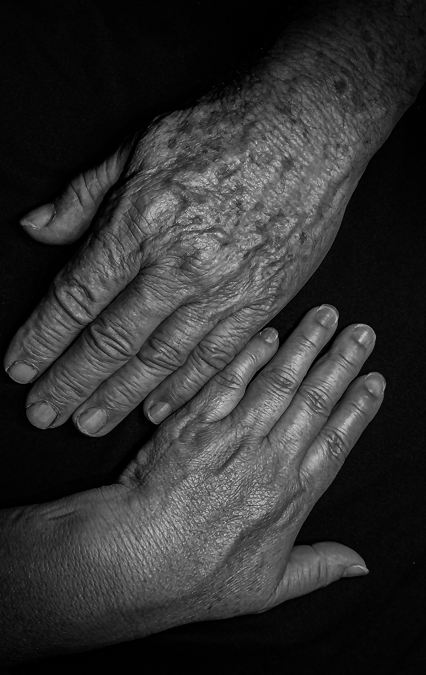 The Role of Accredited Carers in Enhancing Quality of Life